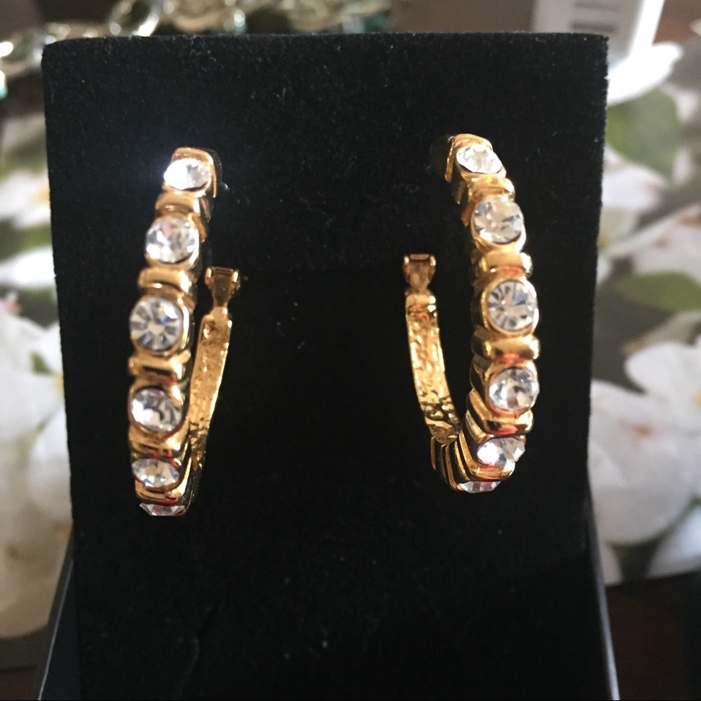 JS Scott Large Rhinestone Hoop Earrings